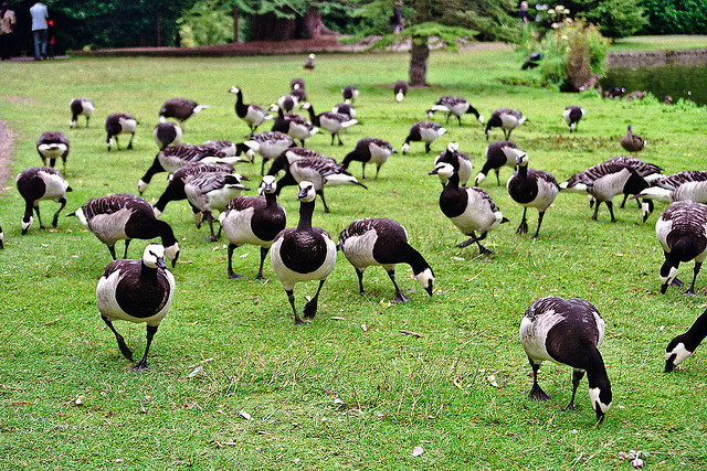don't blend in, be different.