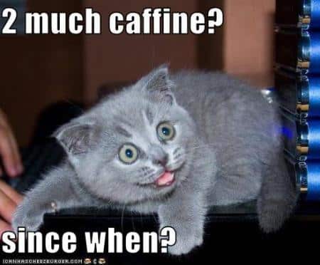 caffeine-cat, Benefits and Risks of Caffeine