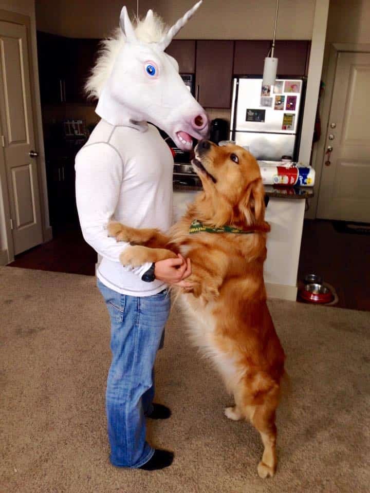 Yes. This is a real unicorn mask. 