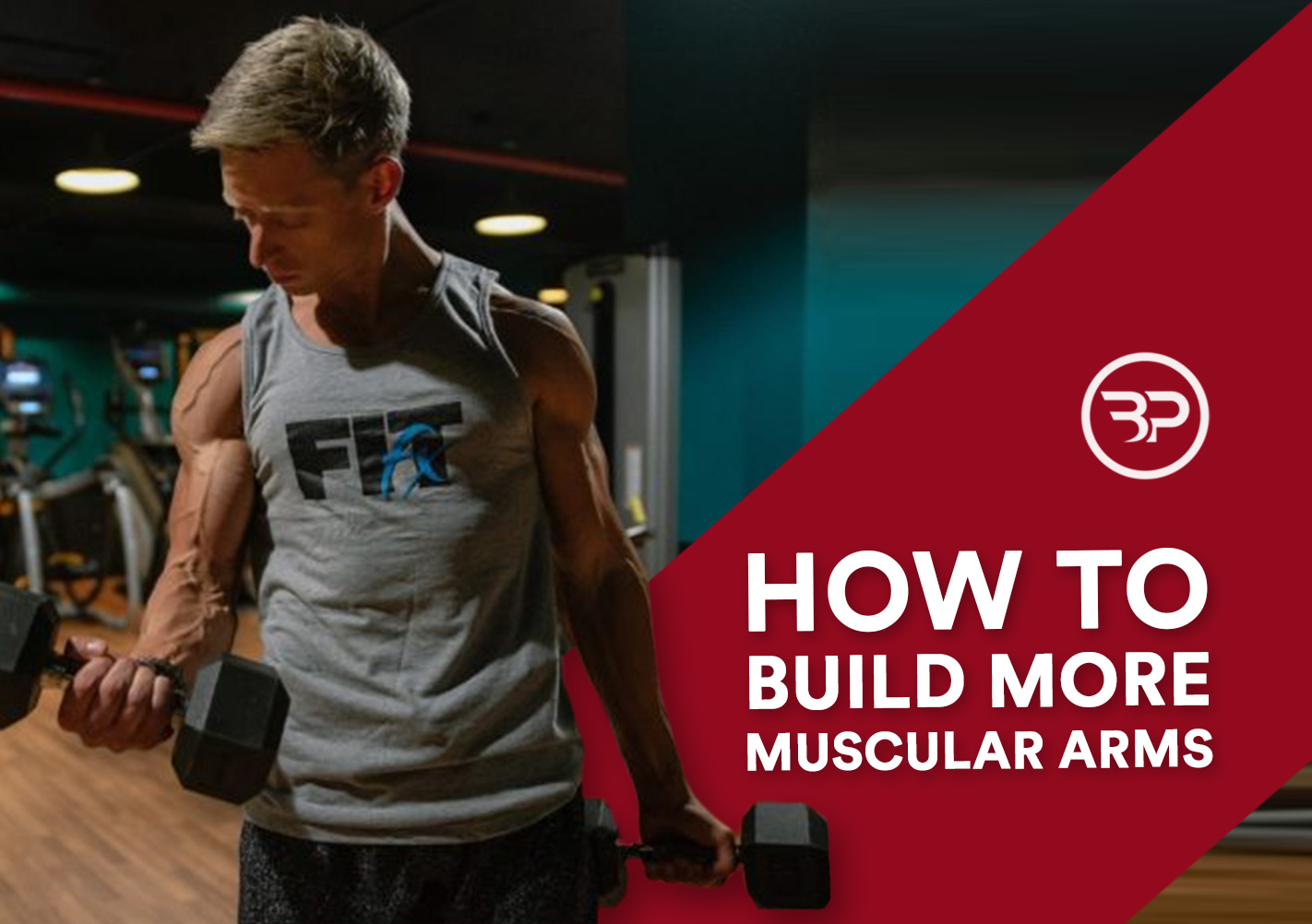 How To Build More Muscular Arms Eric Bach Blog